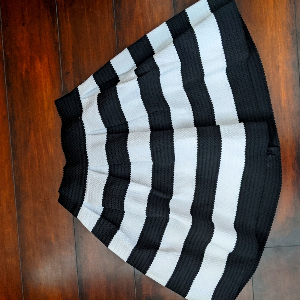 Express Striped Skirt